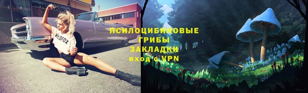 дурь Алексин