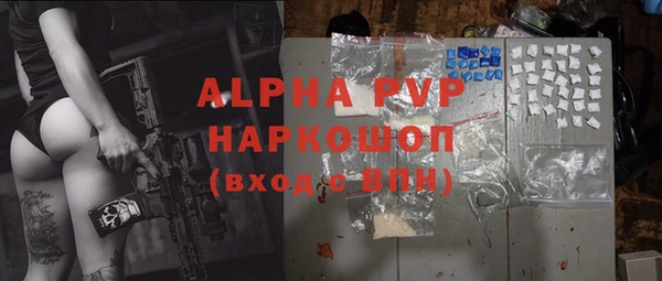 хмурый Алзамай
