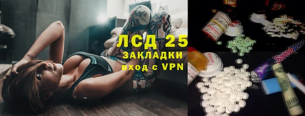 хмурый Алзамай