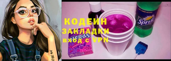 хмурый Алзамай
