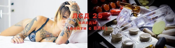 хмурый Алзамай