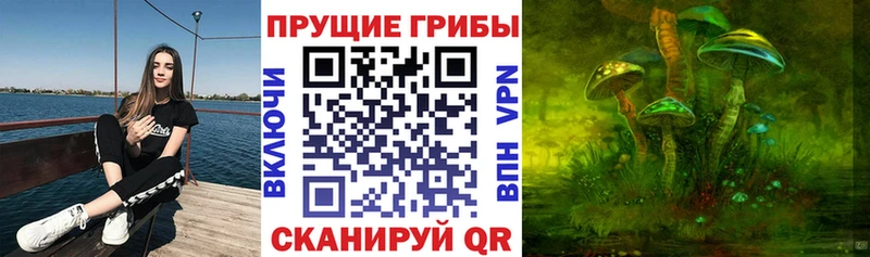 закладка  Когалым  Галлюциногенные грибы Magic Shrooms 